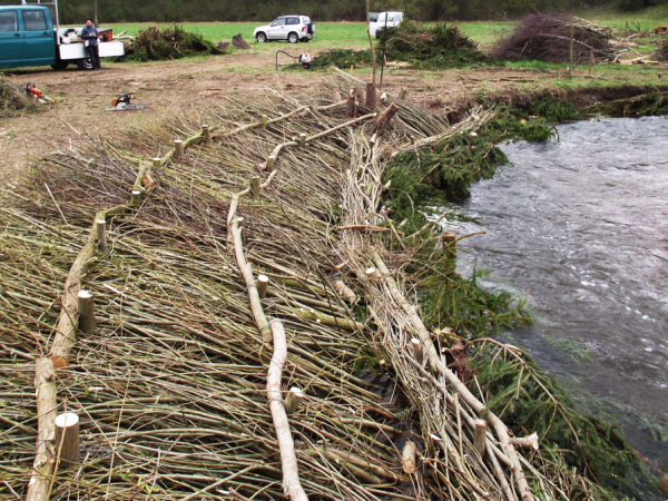 Neuanlage von Lebendfaschinen an einem Fluss