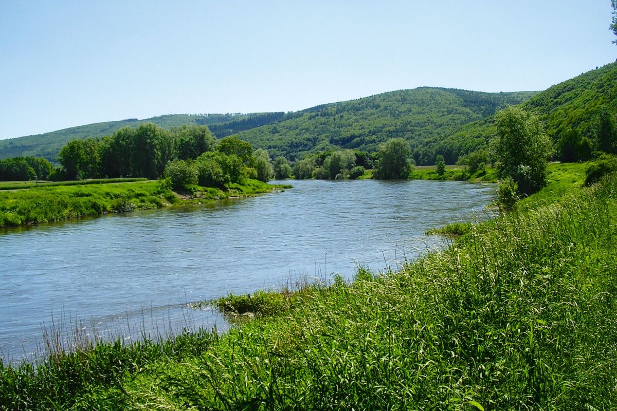 Die Weser mit begrünten Hügeln im Hintergrund und Uferbegrünung