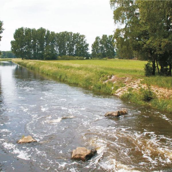 Steine im Flussbett der Ems, Bäume an den Ufern