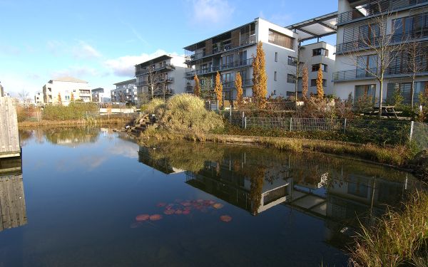 Teich mit Seerosen, Kaskadenanlage und Schilf als Regenrückhaltebecken in einer Wohnsiedlung in Hannover mit neuen mehrstöckigen Wohnanlagen.