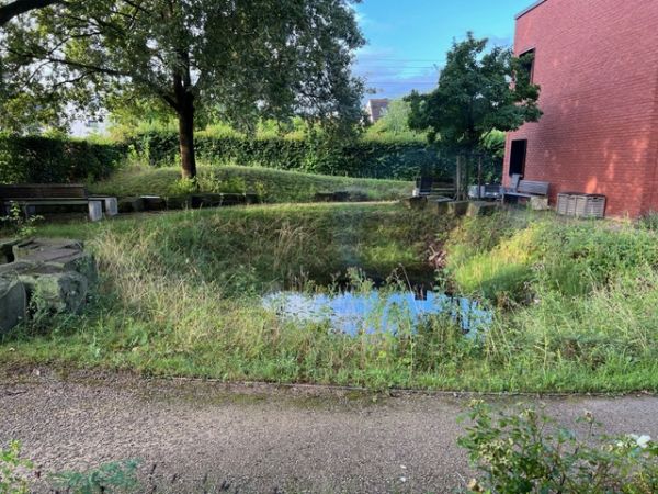 Gartengrünanlage mit einer mit Wasser gefüllten Mulde zum Versickern