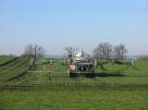 Ein Traktor fährt über eine Wiese und verteilt Gülle