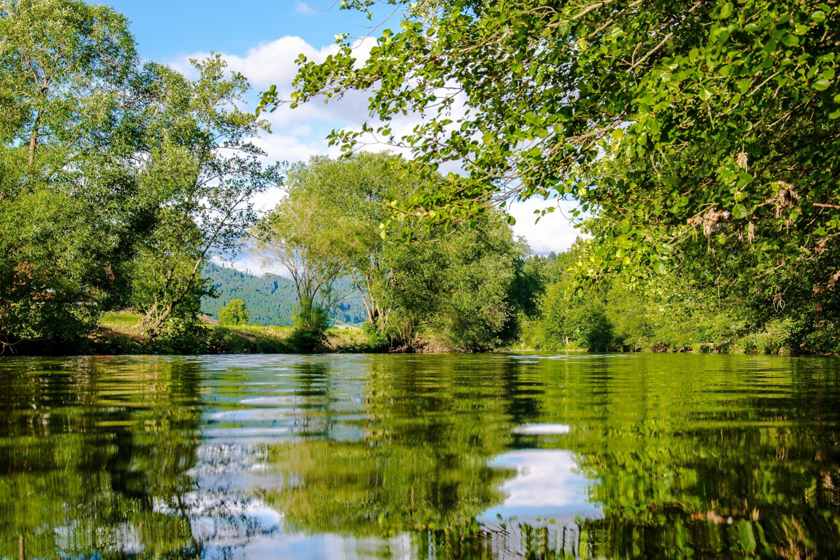 Fluss mit Wald- und Wiesenufer bei bewölktem blauen Himmel im Sonnenschein.