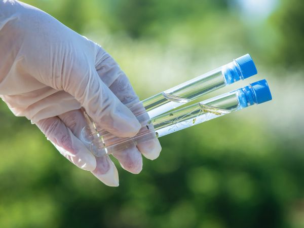 Hand mit zwei Reagenzgläsern