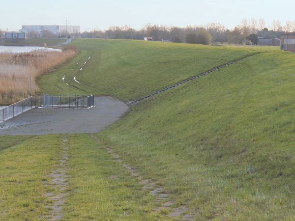 Begrünter Deich des Ruschorter Hauptdeichs