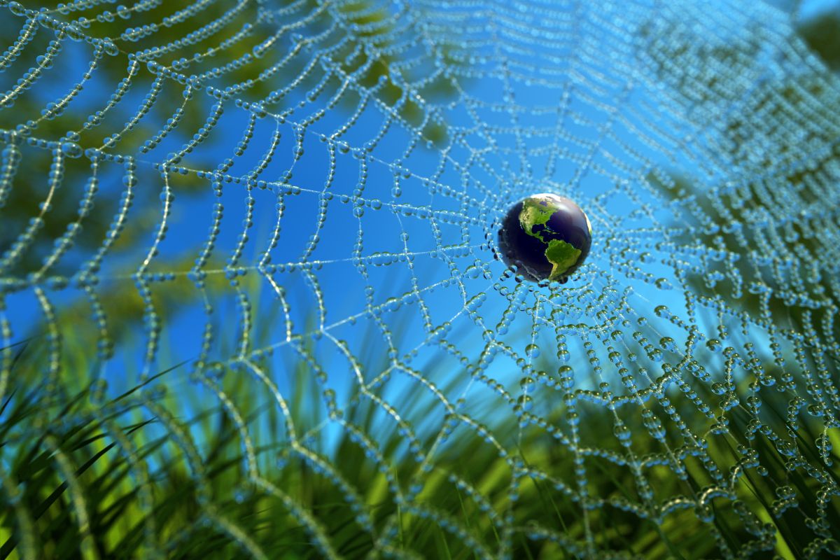 Die Erde in einem Wasserspinnennetz in der grünen Wiese