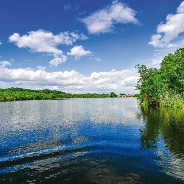 Seenlandschaft im Land Brandenburg mit bewaldeten Ufern und einem Dorf am See. Weiße Wolken ziehen über den blauen Himmel.