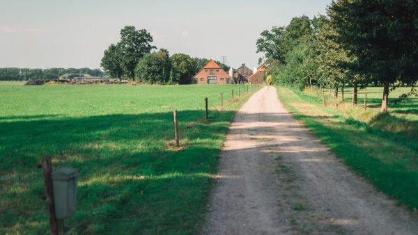 Zufahrtsweg zu einem Bauernhof mit mehreren Gebäuden und Fahrsilos. Er ist gesäumt von eingezäunten Weiden im Sommer in Holland.
