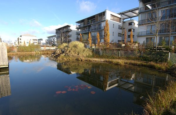 Teich mit Seerosen, Kaskadenanlage und Schilf als Regenrückhaltebecken in einer Wohnsiedlung in Hannover mit neuen mehrstöckigen Wohnanlagen.