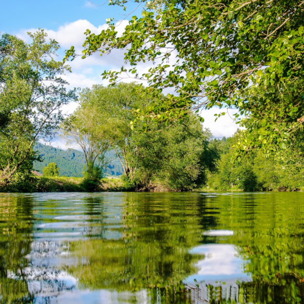 Fluss mit Wald- und Wiesenufer bei bewölktem blauen Himmel im Sonnenschein.