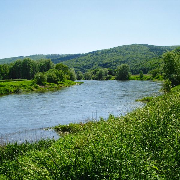 Die Weser mit begrünten Hügeln im Hintergrund und Uferbegrünung
