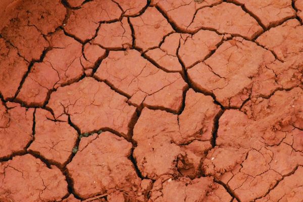 Ausgetrockneter, rissiger Boden