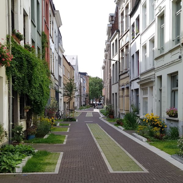 Straßenzug nach Umbau mit viel Grün und Versickerungsflächen