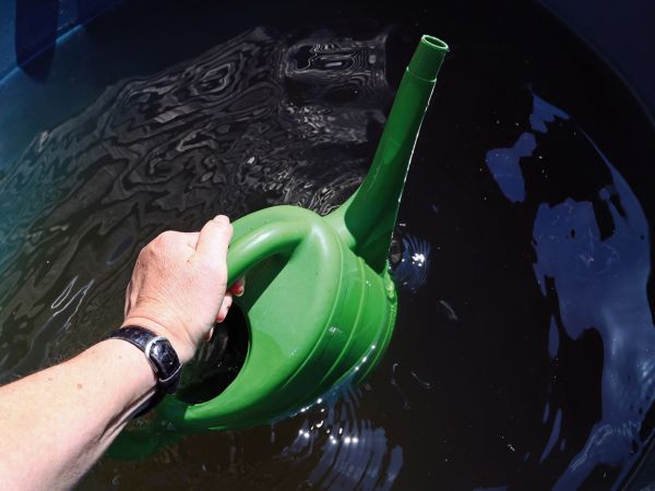 Eine grüne Plastikgießkanne wird in eine Wassertonne gedrückt, um sie aufzufüllen