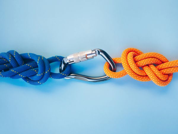 Karabiner verbindet zwei geknotete Seile