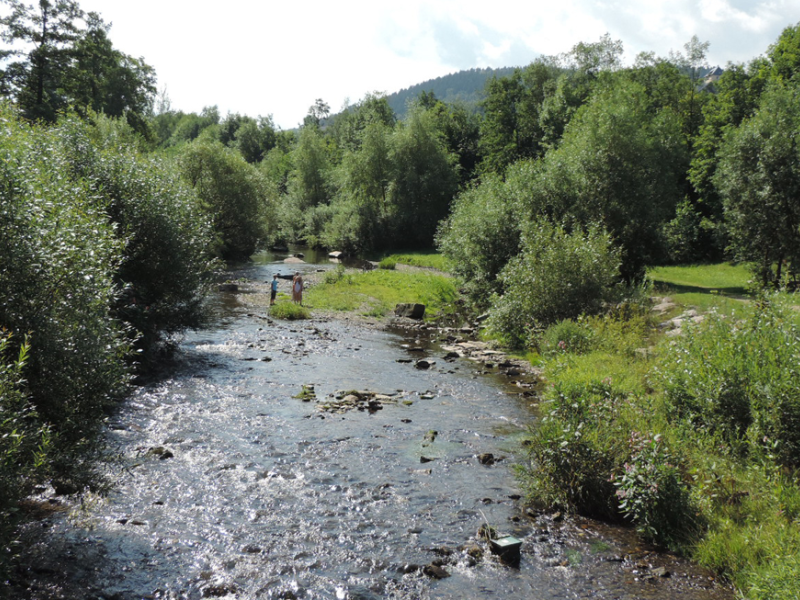 Sommer an einem Bach mit Baumstammbuhnen und begrünter Steinschüttung