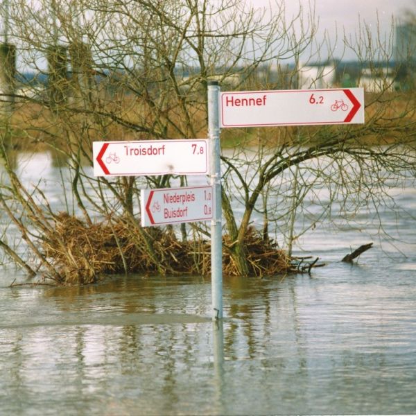 Wegweiser ragen aus einem vom Hochwasserr betroffenen Gebiet